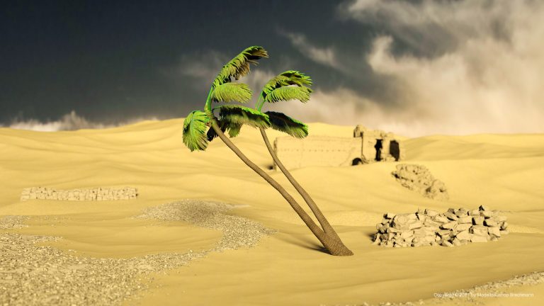 Mittlerer Osten Serie. Palme in der Wüste