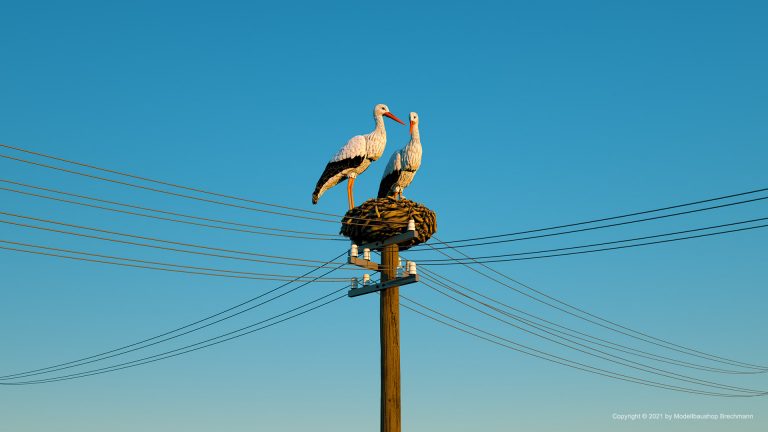 Störche mit Nest