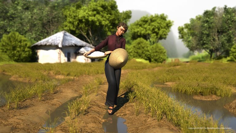 Vietnam Serie. Frau mit Reisschale.